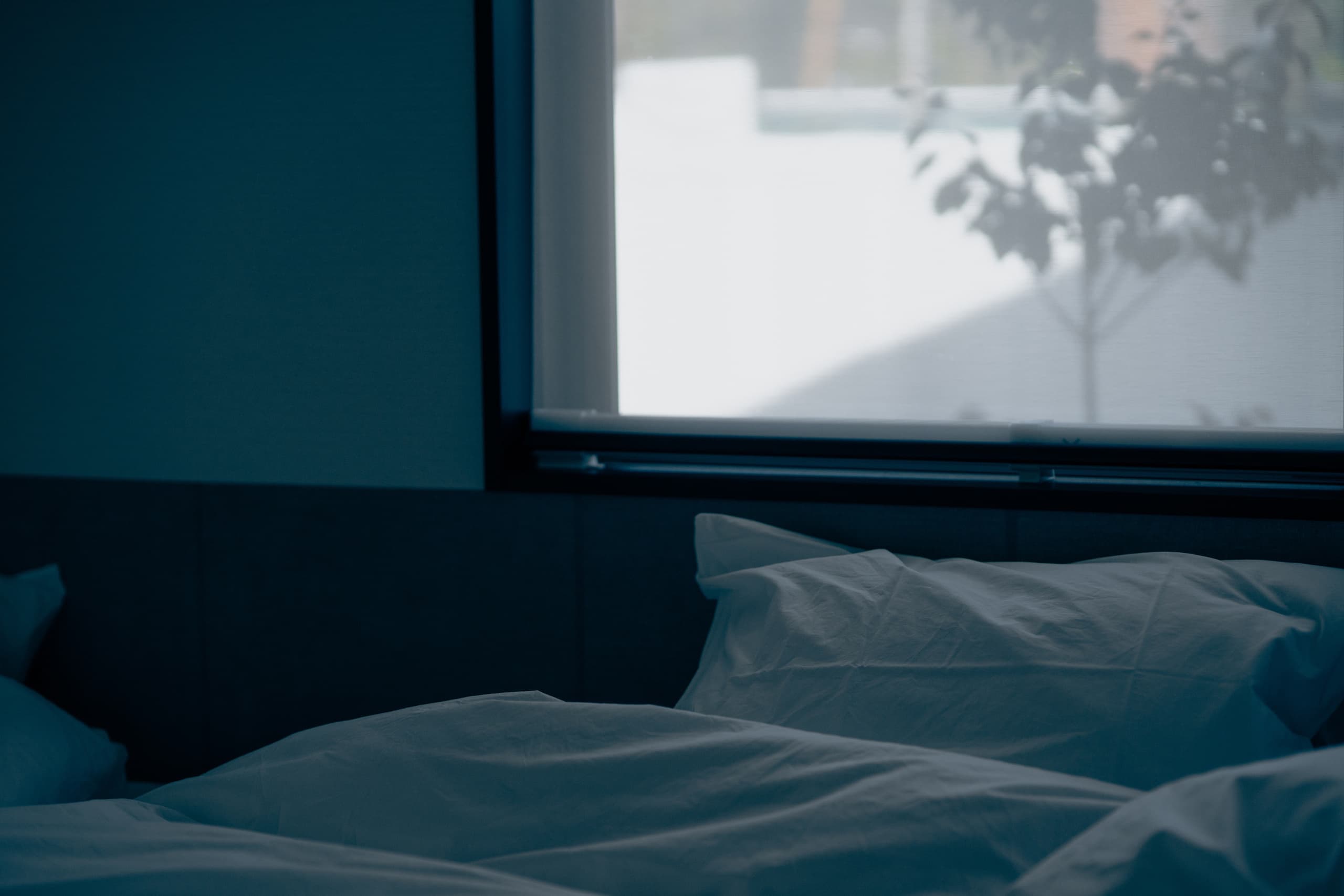 安曇野穂高の一棟貸し温泉宿 寝室　ベッド