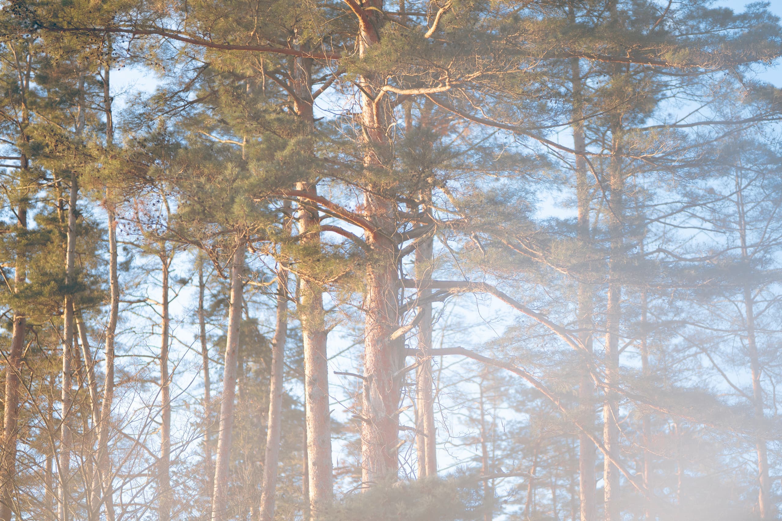 安曇野穂高の一棟貸し温泉宿 景色