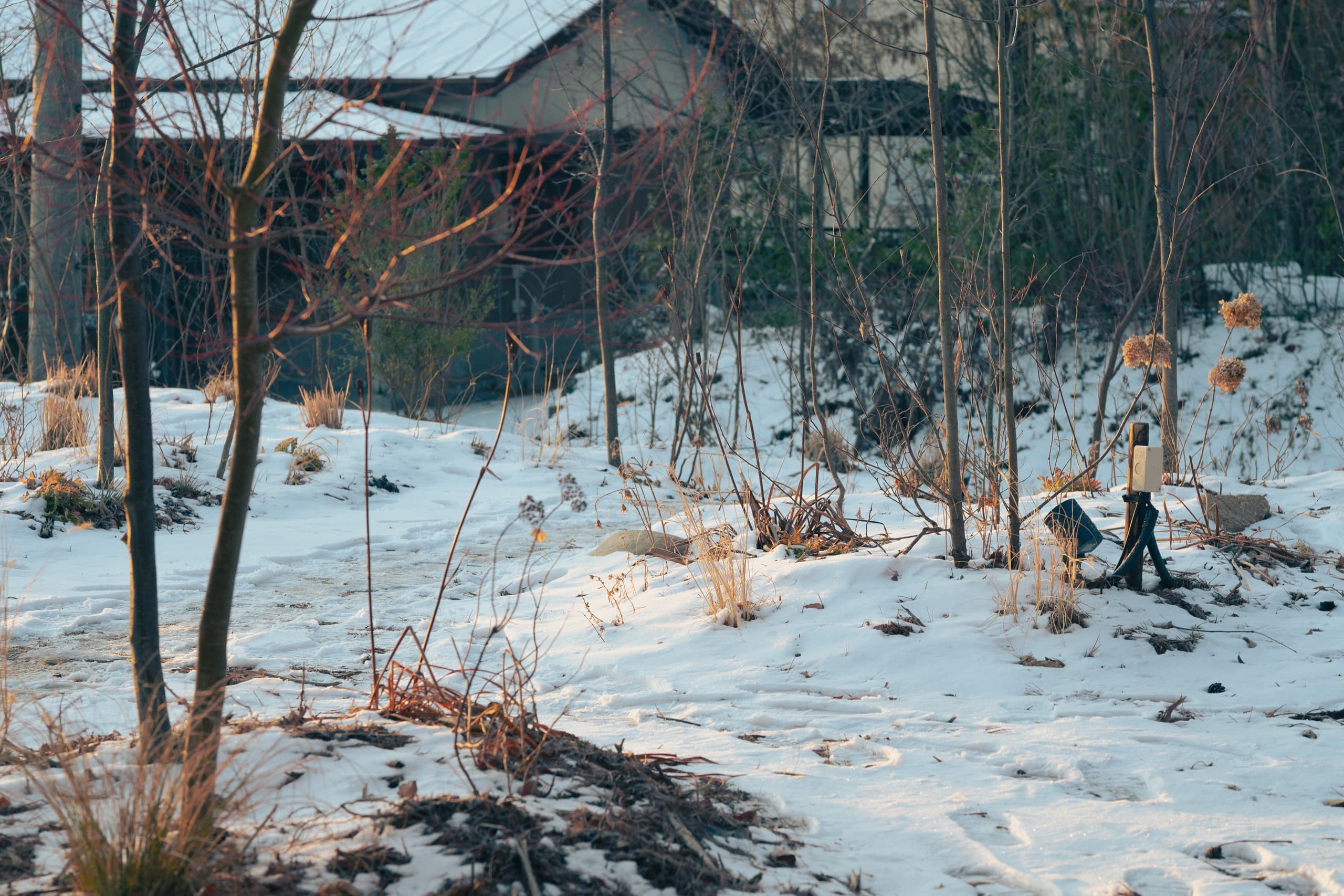 安曇野穂高の一棟貸し温泉宿 庭