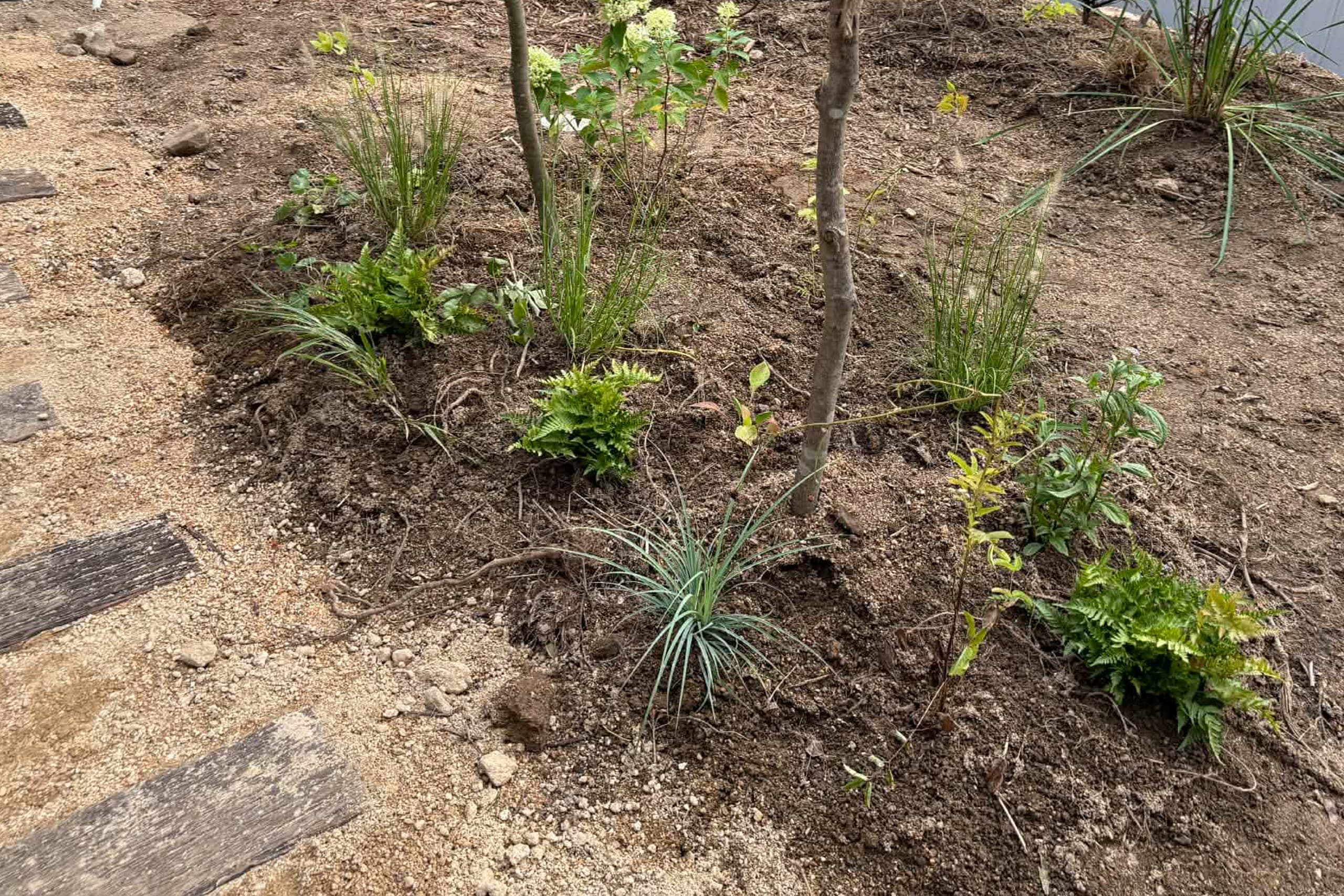 安曇野穂高の一棟貸し温泉宿 庭　植物